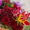president. Danny's Flower